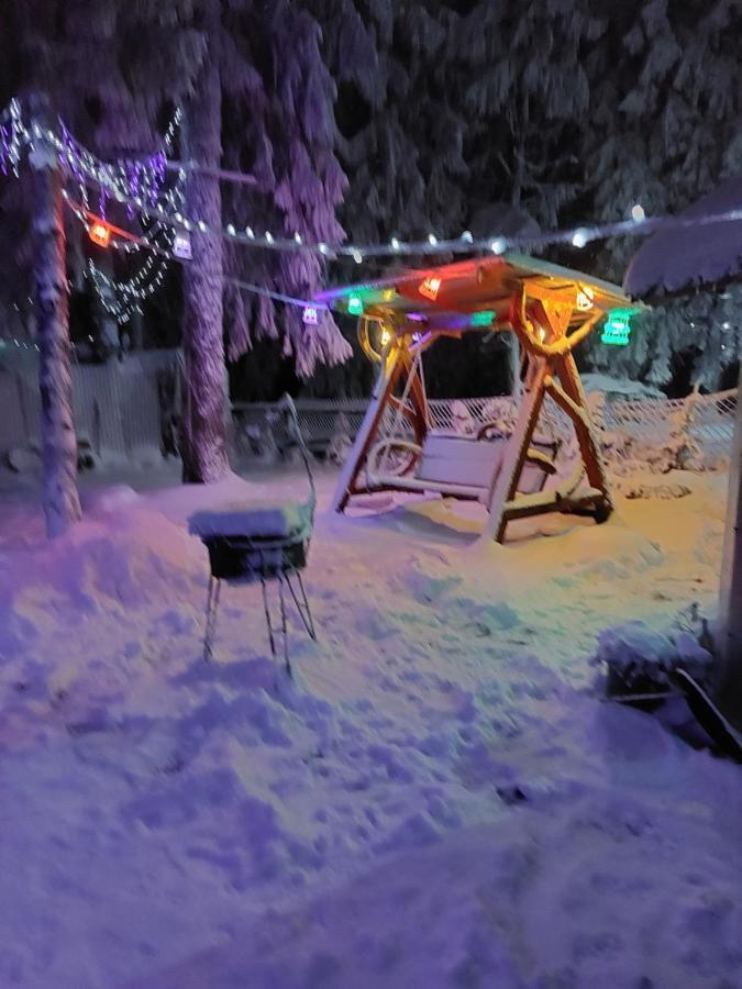 Pensiunea Aurora ブルトプ エクステリア 写真